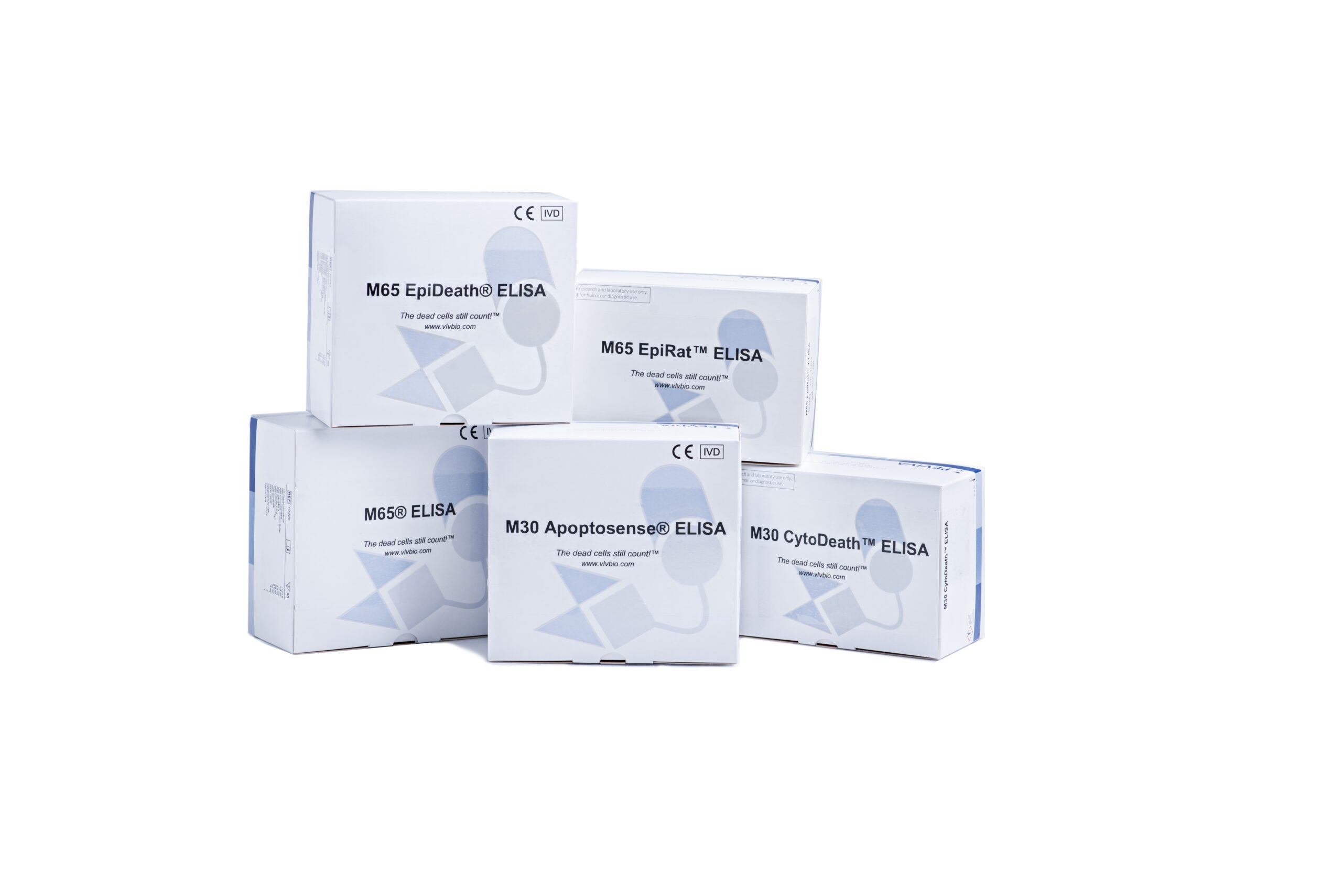 elisa  HFA3380-scaled.jpg